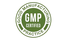 GMP Manufacturing